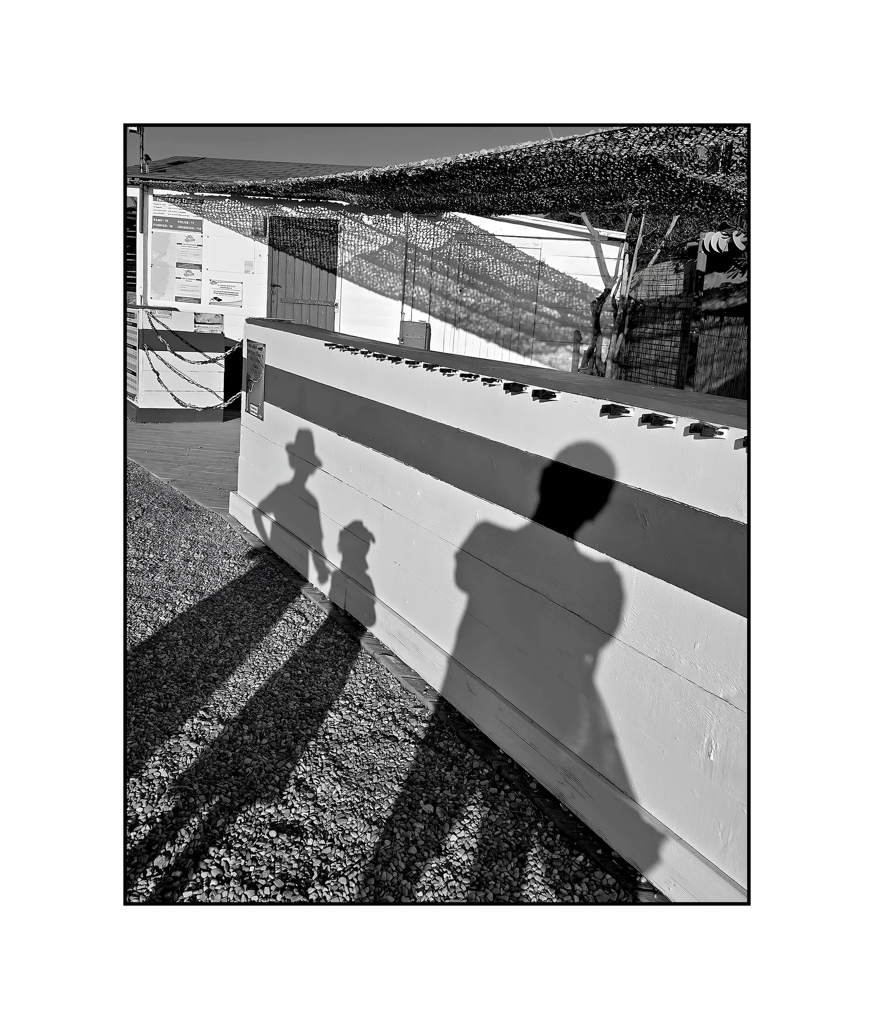 Le bal des ombres