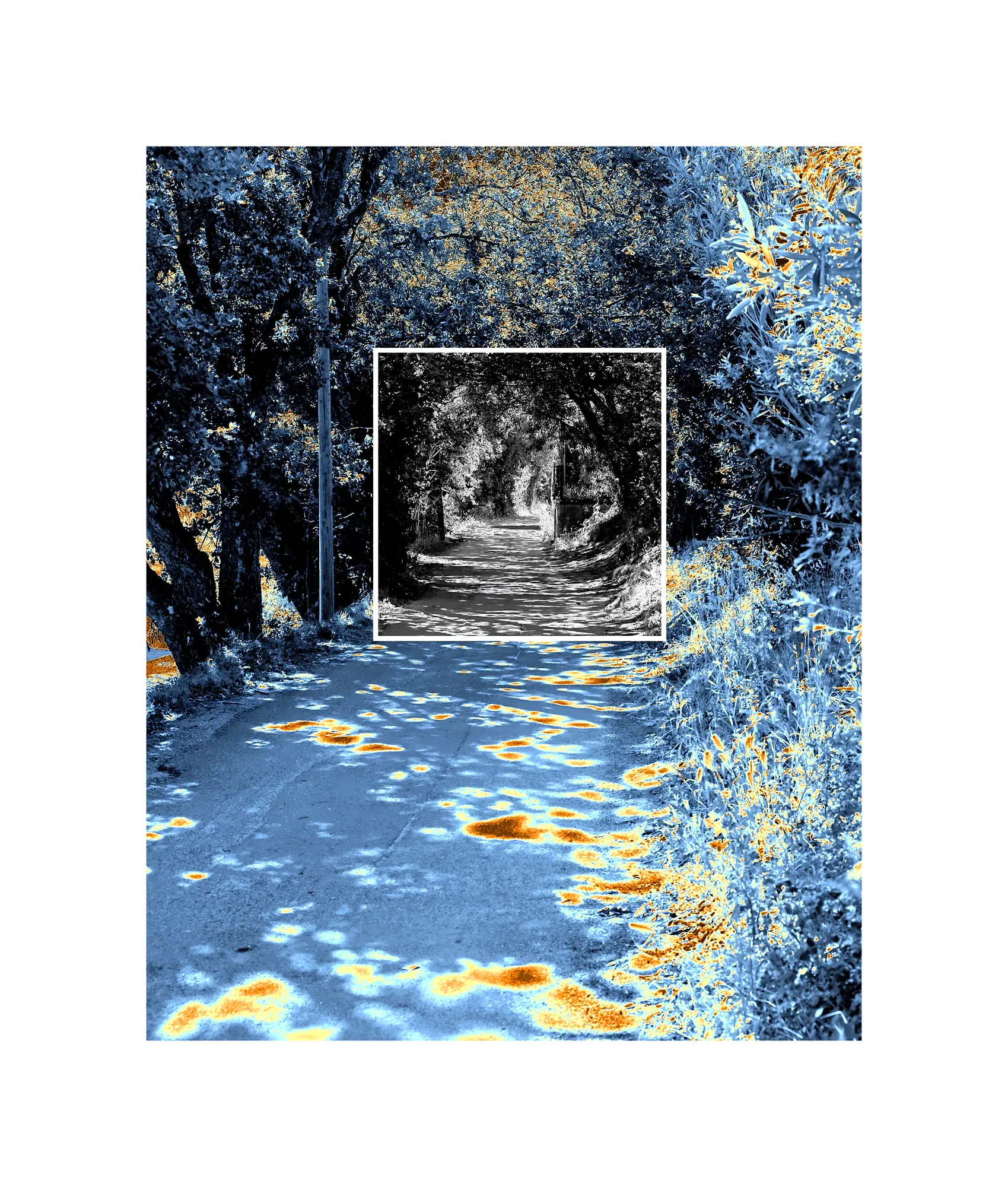 Vortex, natural Toriis